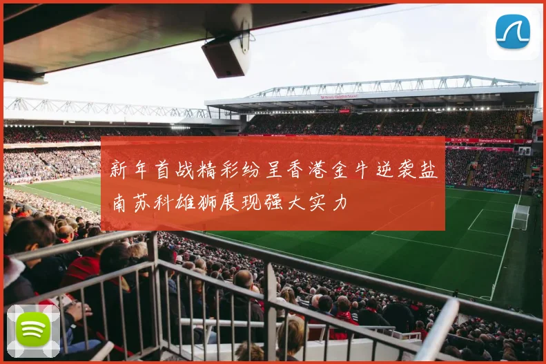 新年首战精彩纷呈香港金牛逆袭盐南苏科雄狮展现强大实力
